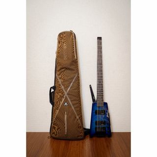 Steinberger Spirit XT-25